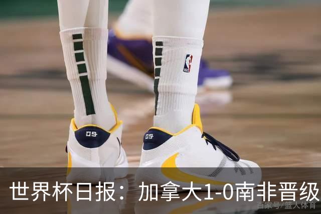 世界杯日报：加拿大1-0南非晋级创历史 韩国主帅洪明甫下课