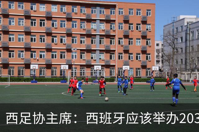 西足协主席：西班牙应该举办2030世界杯决赛，我们各方面条件最优